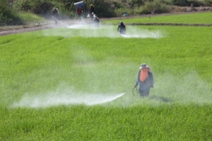 farmers spraying pesticides on fields